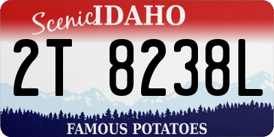ID license plate 2T8238L