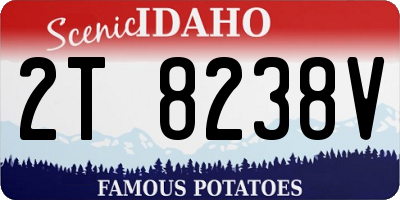 ID license plate 2T8238V