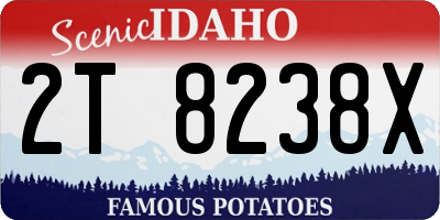 ID license plate 2T8238X