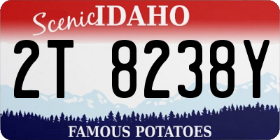 ID license plate 2T8238Y