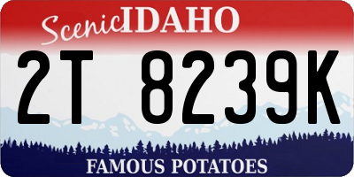 ID license plate 2T8239K