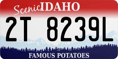 ID license plate 2T8239L