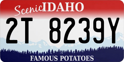 ID license plate 2T8239Y