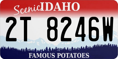 ID license plate 2T8246W