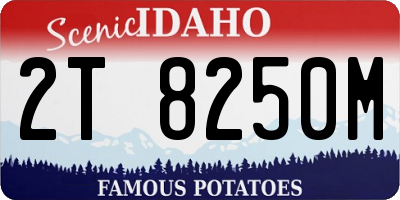 ID license plate 2T8250M