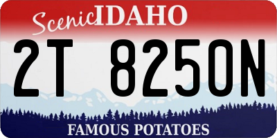 ID license plate 2T8250N