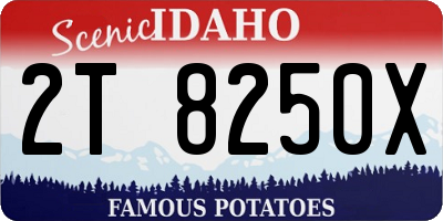ID license plate 2T8250X