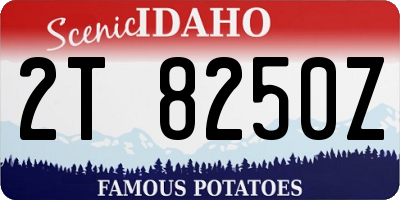 ID license plate 2T8250Z