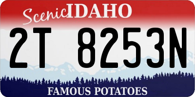 ID license plate 2T8253N