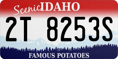 ID license plate 2T8253S