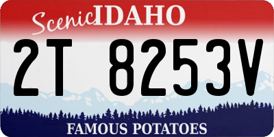 ID license plate 2T8253V