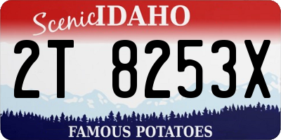 ID license plate 2T8253X