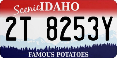 ID license plate 2T8253Y