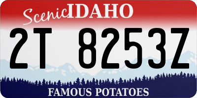 ID license plate 2T8253Z