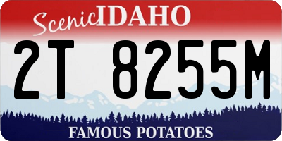 ID license plate 2T8255M
