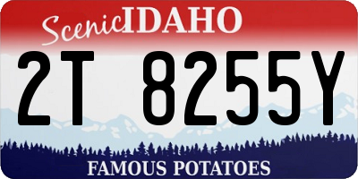 ID license plate 2T8255Y