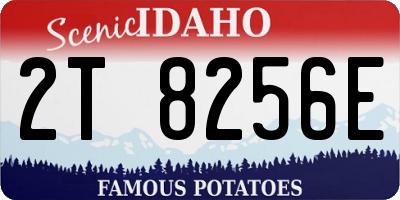 ID license plate 2T8256E