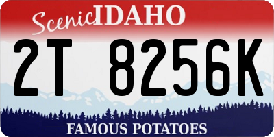 ID license plate 2T8256K