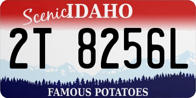 ID license plate 2T8256L