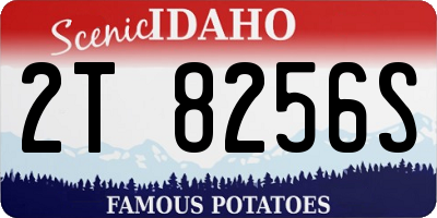 ID license plate 2T8256S