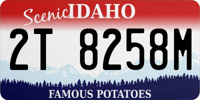 ID license plate 2T8258M