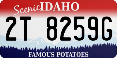 ID license plate 2T8259G