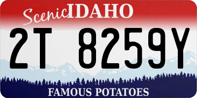 ID license plate 2T8259Y
