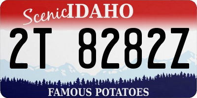 ID license plate 2T8282Z