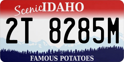 ID license plate 2T8285M