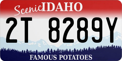 ID license plate 2T8289Y