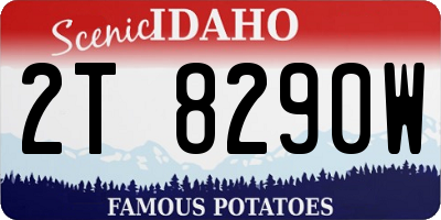 ID license plate 2T8290W