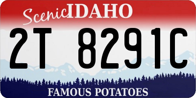 ID license plate 2T8291C