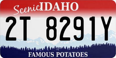 ID license plate 2T8291Y