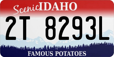ID license plate 2T8293L