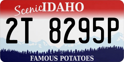 ID license plate 2T8295P