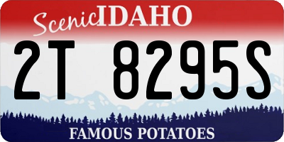 ID license plate 2T8295S