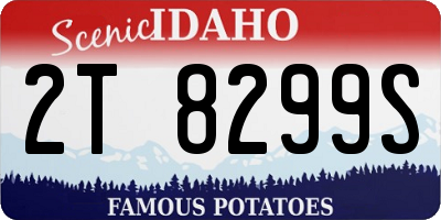ID license plate 2T8299S