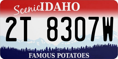 ID license plate 2T8307W