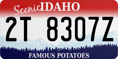ID license plate 2T8307Z