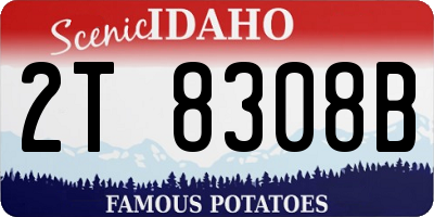 ID license plate 2T8308B