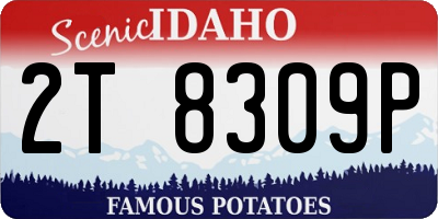 ID license plate 2T8309P