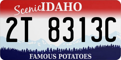 ID license plate 2T8313C