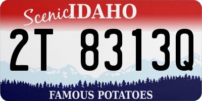ID license plate 2T8313Q