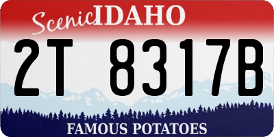 ID license plate 2T8317B