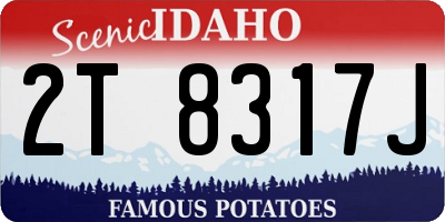 ID license plate 2T8317J