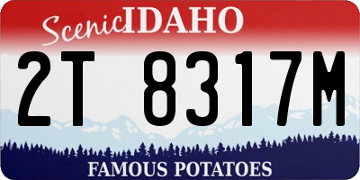 ID license plate 2T8317M