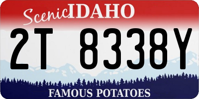 ID license plate 2T8338Y