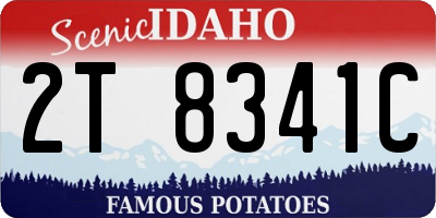 ID license plate 2T8341C