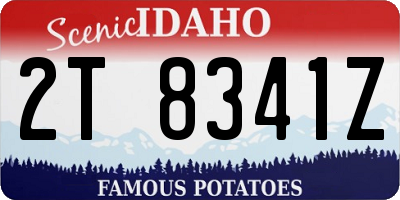 ID license plate 2T8341Z
