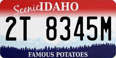 ID license plate 2T8345M